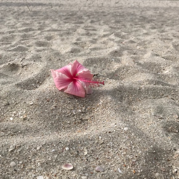 Any removal requests? No hard feelings! Lemme know! Updating list!TAGLIST SIGNUP - Picture 10 of 12